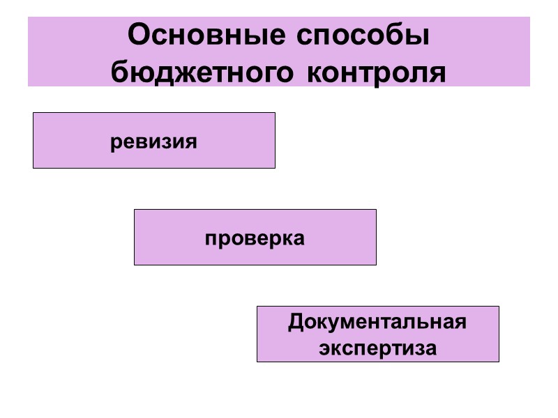 Основные способы бюджетного контроля ревизия проверка Документальная экспертиза